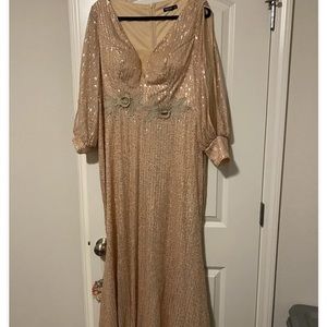 Size 14 curve sequin and embellished long baby pink dress